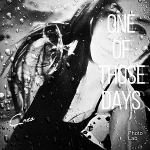 Meet your Posher, Misty